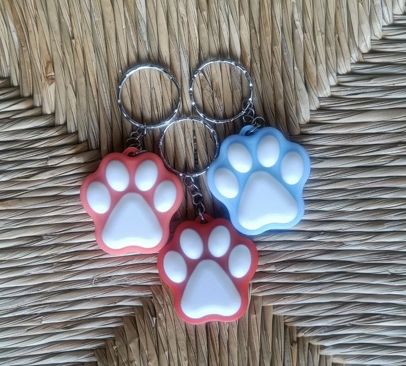 Chaveiro pata de cão gato